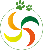 描述